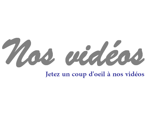 Sensys-vidéos-495x400 Nos vidéos 