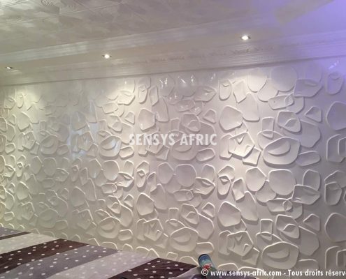 IMG-20170922-WA0101-495x400 Idées décoration chambre adulte 